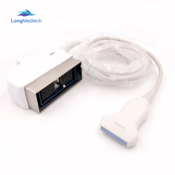 Electrophoresis System Factory - Auto Agarose Gel Laboratory