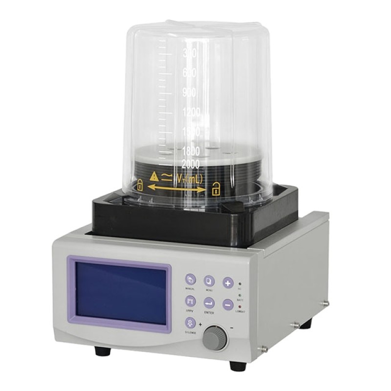 Scraping Apparatus Factory - Meridian Fat Burning Gua Sha