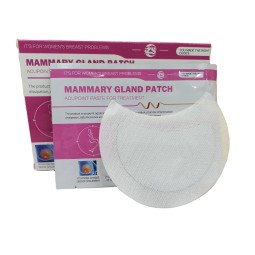 Chinese Plaster Manufacturer - 2025 Waist Leg Pain