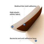 Wormwood Sticking Factory - Breast Acupoint Herbal Formula