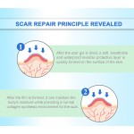 Mini Gel Ice Packs Factory - Reusable Cold Hot