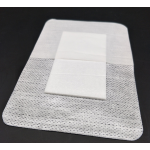 Acupoint Patch Factory - Adult Series Traditional Plaster