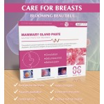 Chinese Plaster Manufacturer - 2025 Waist Leg Pain