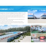 Moxibustion Oil Manufacturer - Joint Pain Relief