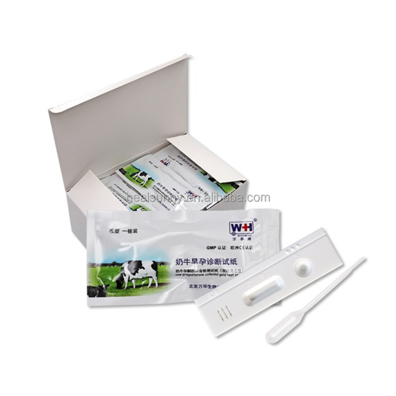 Dog Cart Supplier - Adjustable 2 Wheels Mobility