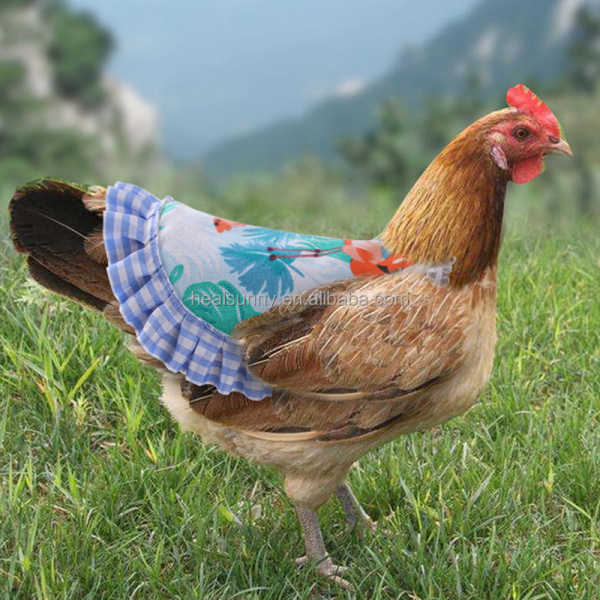 Auto Feeder Factory - Smart Camera Remote Operate