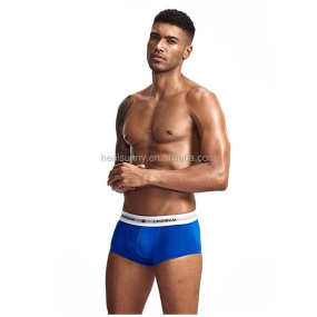 Cow Test Supplier - Urine Home Pregnancy Kit