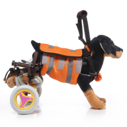 Nurse Penlight Manufacturer - LED Torch with Pupil Gauge