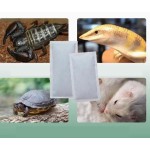 Cooling Patch Factory - Premium Instant Fever Relief Sports