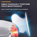 Knee Ice Patch Manufacturer - Premium Glucosamine Chondroitin Hydrogel