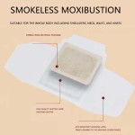 Body Heat Patch Factory - High Quality Customizable 3-Wings Direct