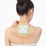 Moxibustion Patch Factory - Premium Herbal Custom Made Essential Oil