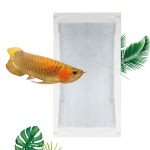 Self-Heating Heat Pack Manufacturer - Premium Tropical Fish Reptile