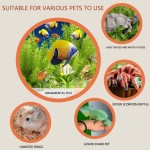 Reptile Transport Patch Manufacturer - Factory Direct Custom Long-Lasting