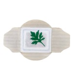 Moxibustion Patch Manufacturer - Premium 4-Wings OEM ODM Cervical