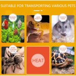 Tropical Fish Heat Pack Factory - Durable Customized 48/72/100 Hour