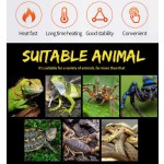 Tropical Fish Heating Pad Factory - Customizable Pet Transport Aquarium