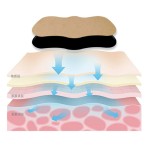 Herbal Patch Manufacturer - Whole Body Natural Pain Relief