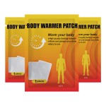 Enhancement Patch Manufacturer - Natural Herbal Breast Care