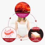 Moxibustion Patch Factory - Zhongyi Kang Soothing Joint