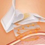 Eye Patch Supplier - Lutein Health Fatigue Relief