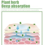 Pain Relief Patch Manufacturer - Natural Herbal Therapy Solution