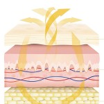 Heating Pad Factory - Most Selling Hand Warmer Product