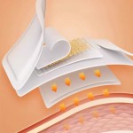 Moxibustion Patch Factory - Zhongyi Kang Soothing Joint