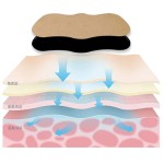 Pain Relief Patch Supplier - CE Approved Wormwood Herb