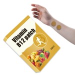 Herbal Patch Factory - Natural Capsicum Pain Management