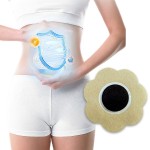 Detox Foot Pad Factory - 2024 Best Selling Herbal Care