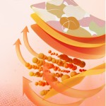 Slimming Patch Supplier - Natural Fast Fat Reduction