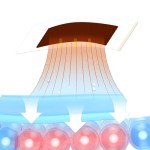 Relaxation Soak Supplier - Herbal Circulation Boost Sleep