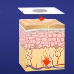 Foot Pad Supplier - 10 Pads Stress Relief Sleep