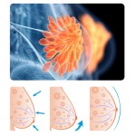 Weight Management Supplier - Herbal Fat Burning Support