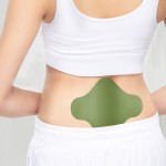 Healthcare Patch Supplier - New Product Herbal Tiger Hot