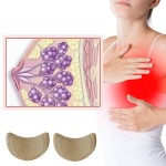 Detox Patch Manufacturer - Natural Herbal Cleansing