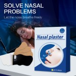 Pain Relief Patch Supplier - CE Approved Wormwood Herb