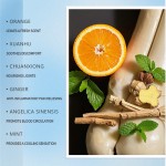 Pain Relief Ointment Factory - Factory Sale Herbal Extract Body Leg