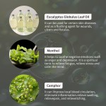 Scorpion Venom Cream Manufacturer - Wholesale Chinese Ointment Medicine