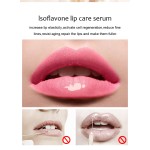 Eyebrow Soap Kit Factory - 3D Feathery Brows Shaping Set