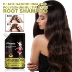 Herbal Shampoo Supplier - Black Ganoderma Ginger Anti Dandruff