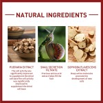 Facial Plump Oil Factory - Fengying Temple Fine Lines Fruit