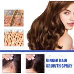 Herbal Spray Supplier - Essential Oil Ginger Regrowth