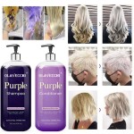 Sulfate Free Shampoo Factory - Custom Purple Color Protection