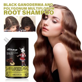 Herbal Shampoo Supplier - Black Ganoderma Ginger Anti Dandruff