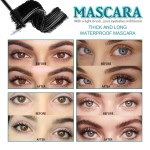 4D Mascara Manufacturer - Waterproof Sweatproof Curling Magic