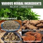 Lumbar Spray Factory - 35ml Joint Protecting Pain Relief