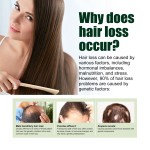 Organic Hair Serum Factory - Eelhoe Wild Oil Boosting Bald