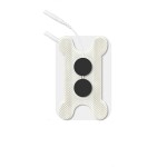 Human Skeleton Model Manufacturer - Crystal Anatomical 5x5x10cm Medical Teaching